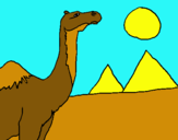 Dibuix Camell pintat per maria hernandez