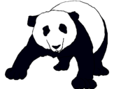 Dibuix Ós panda pintat per lauri