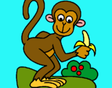 Dibuix Mono pintat per sergi 14