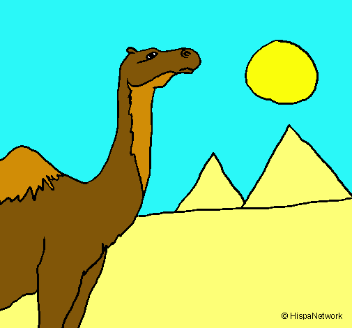 Dibuix Camell pintat per Gisela