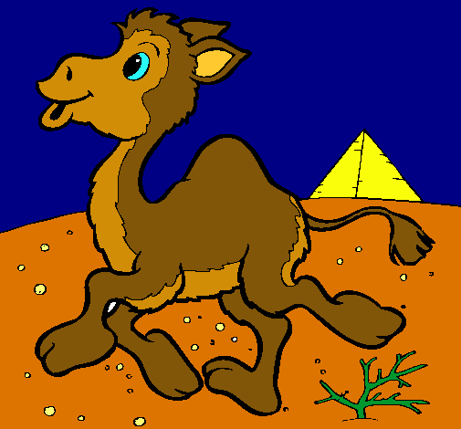 Dibuix Camell pintat per LAURA