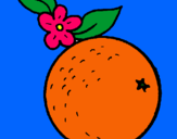 Dibuix taronja pintat per ELOY  L  P