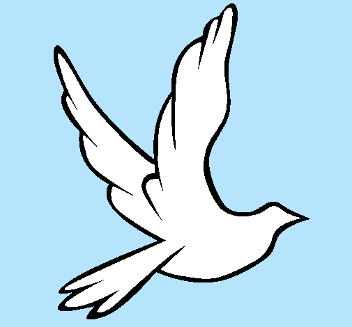 Dibuix Colom de la pau al vol  pintat per soukaina