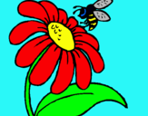 Dibuix Margarida amb abella pintat per refer.