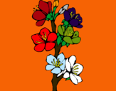 Dibuix Flors de camp pintat per ELOY        LO´PEZ    POL