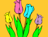 Dibuix Tulipes pintat per POLSEN