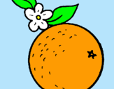 Dibuix taronja pintat per Mandarina