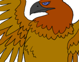 Dibuix Àguila Imperial Romana pintat per marta