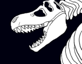 Dibuix Esquelet tiranosauri rex pintat per r.o.b