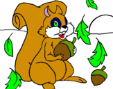 Dibuix Esquirol pintat per federico
