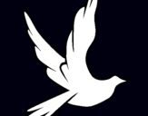 Dibuix Colom de la pau al vol  pintat per IOUYIH
