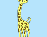 Dibuix Girafa pintat per 10317