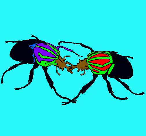 Dibuix Escarabats  pintat per alex 