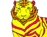 Dibuix Tigre pintat per natalia rivera  berredo