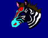 Dibuix Zebra II pintat per daniela