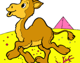 Dibuix Camell pintat per MARTI