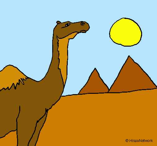 Dibuix Camell pintat per lindusky