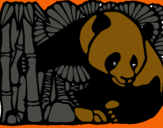 Dibuix Ós Panda i Bambú pintat per NIL