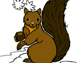 Dibuix Esquirol pintat per lluisa