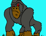 Dibuix Goril·la pintat per luis