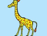 Dibuix Girafa pintat per Gerard
