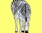 Dibuix Zebra pintat per mariona.r.o