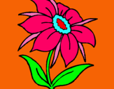 Dibuix Flor silvestre pintat per  marta crisol