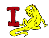 Dibuix Iguana pintat per arnau