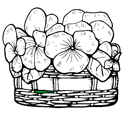 Dibuix Cistell de flors 12 pintat per marc