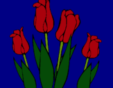 Dibuix Tulipes pintat per P