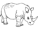 Dibuix Rinoceront pintat per SIII