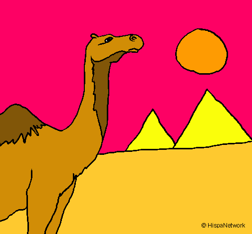 Dibuix Camell pintat per laia