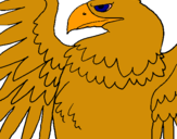 Dibuix Àguila Imperial Romana pintat per JUACA
