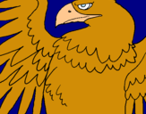 Dibuix Àguila Imperial Romana pintat per àguila