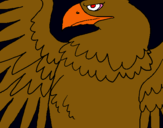 Dibuix Àguila Imperial Romana pintat per sergi 14
