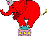 Dibuix Elefant sobre una pilota pintat per adrian