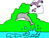 Dibuix Dofí i gavina pintat per yhessel 