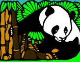 Dibuix Ós Panda i Bambú pintat per jaumet