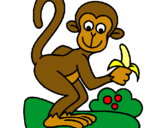 Dibuix Mono pintat per raulete