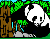 Dibuix Ós Panda i Bambú pintat per salo