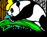 Dibuix Ós panda menjant pintat per saralorman