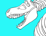 Dibuix Esquelet tiranosauri rex pintat per ABEL VIÑALS