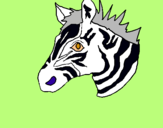 Dibuix Zebra II pintat per nin2