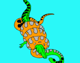 Dibuix Anaconda i caiman pintat per pol gonzalez