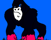 Dibuix Goril·la pintat per ARNAU