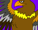Dibuix Àguila Imperial Romana pintat per roger ratoli