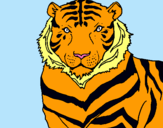 Dibuix Tigre pintat per pol gonzalez