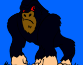 Dibuix Goril·la pintat per arnau ciuro
