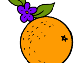 Dibuix taronja pintat per ADA BORDAS MARSOL..