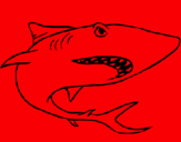 Dibuix Tiburón pintat per arnau c.